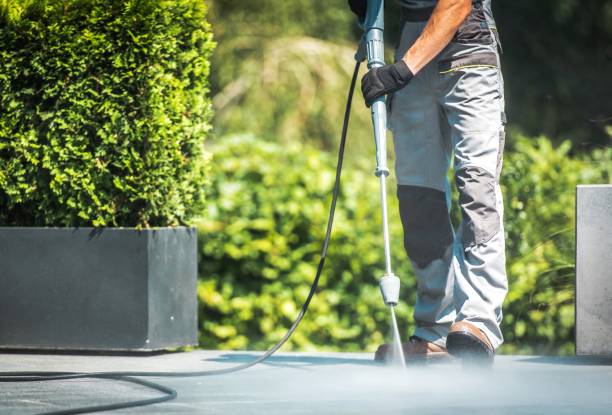 Best House Exterior Washing  in Prudenville, MI