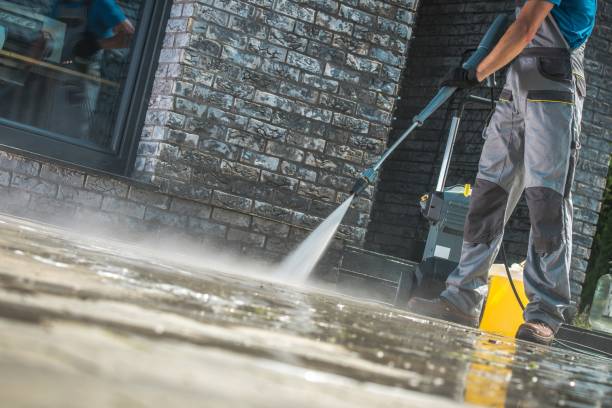 Animal Enclosure Cleaning in Prudenville, MI