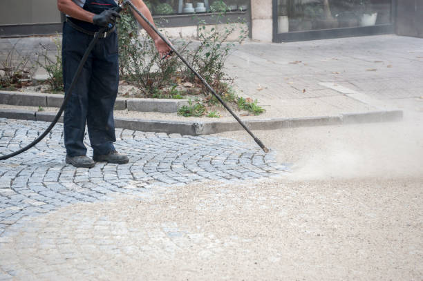 Best Pre-Holiday Cleaning  in Prudenville, MI
